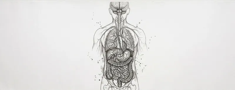 Cover image for The Gut